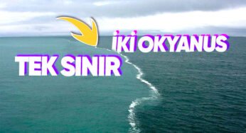 Okyanusta Birleşen Sular Gerçekten Karışmıyor mu?