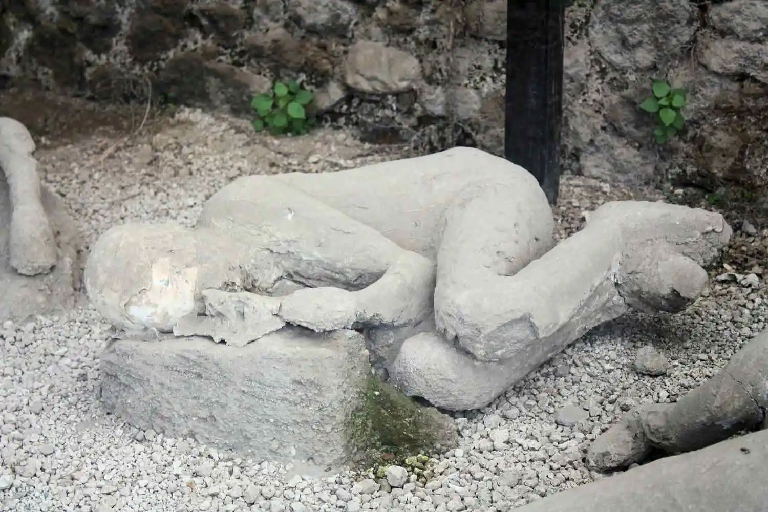 Ulaş Utku Bozdoğan: Pompeii'Nin Taş Insan Cesetleri Ve Şaşırtan Gerçek: Onlar Aslında Insan Cesedi Değil 1