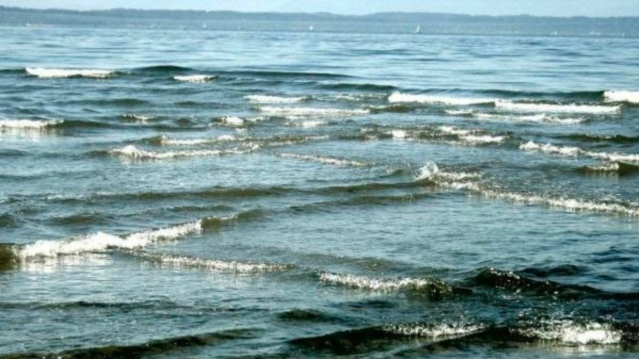 Meral Erden: Denizde Gördüğünüz An Kaçmanız Gereken "Kare Dalgalar" Neden Bu Kadar Tehlikeli? 3