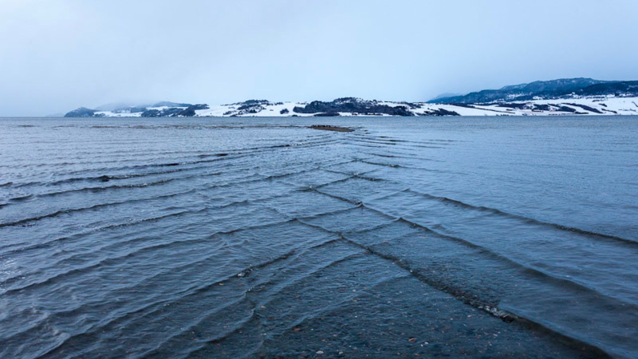 Meral Erden: Denizde Gördüğünüz An Kaçmanız Gereken "Kare Dalgalar" Neden Bu Kadar Tehlikeli? 7