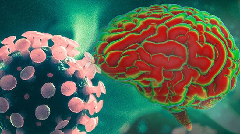 İnanç Can Çekmez: HIV'nin Beyinde de Saklanabildiği Ortaya Çıktı: Kalıcı Tedaviler Geliştirmeye Yardımcı Olabilir! 3