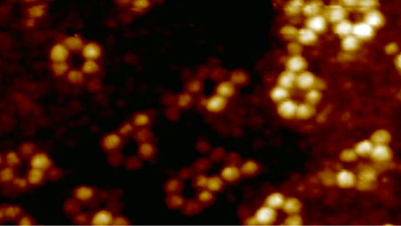 Meral Erden: İlk Kez Tek Bir Atom Tanesi X Işınlarıyla Gözlemlendi - Webtekno 3