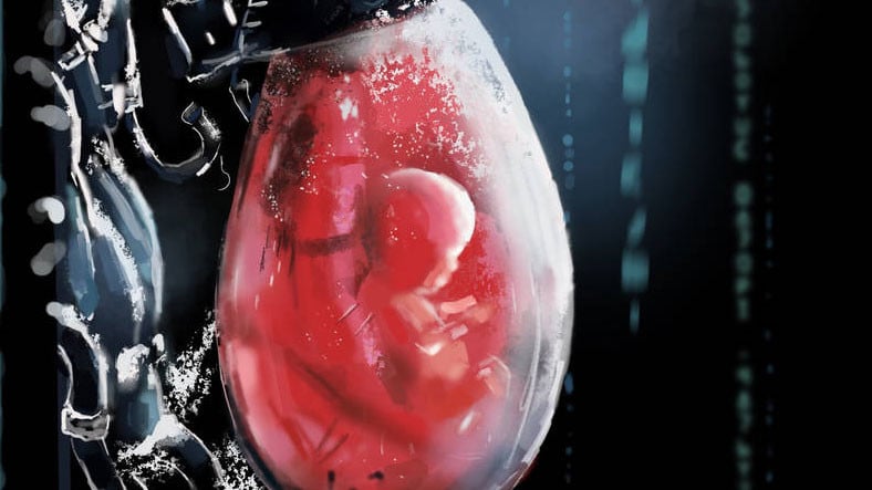 Ulaş Utku Bozdoğan: İnsanlık Tarihinde Bir İlk: Sperm ve Yumurta Olmadan, İnsan Embriyosu Geliştirildi 3