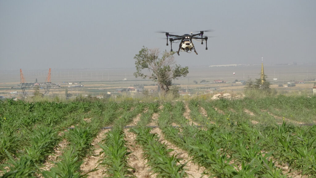 Meral Erden: Drone'lar tarlaya indi! Çiftçinin yükü azaldı 5