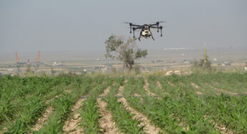 Drone’lar tarlaya indi! Çiftçinin yükü azaldı