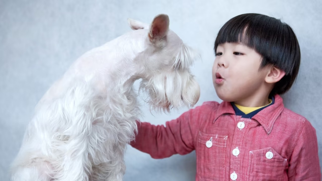 Meral Erden: Evcil Hayvanınızla Sohbet Ettiğinizi Bir Hayal Edin: Peki Bizimle Büyümelerine Rağmen Neden Asla Konuşamıyorlar? 11