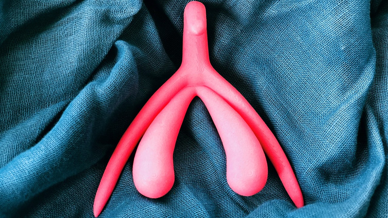 Şinasi Kaya: &Quot;Klitoris&Quot; Aslında Gelişmemiş Bir Penis Midir? İşte İki Cinsel Organ Arasındaki Benzerlikler 1