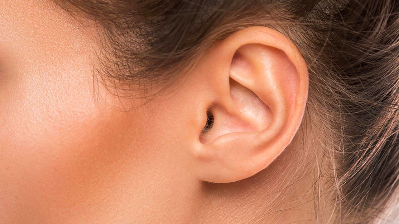 Şinasi Kaya: Kulaklarımız, Vücudumuzun Diğer Kısımlarına Kıyasla Neden Bu Kadar Kıvrımlı? 5