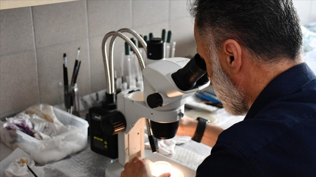 İnanç Can Çekmez: Türk bilim insanları yeni bir parazit tipi keşfetti 7