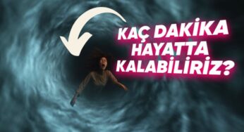Baş Dönmesinden Fazlası: Dev Bir Hortuma Kapılırsanız İçinde Neler Yaşarsınız?