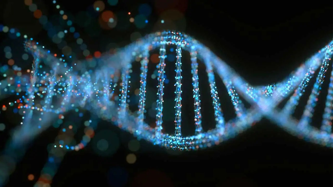 Meral Erden: Cinsiyetimizi Belirleyen Y Kromozomunun Genetik Kodu, İlk Kez Baştan Sona Haritalandırıldı 3