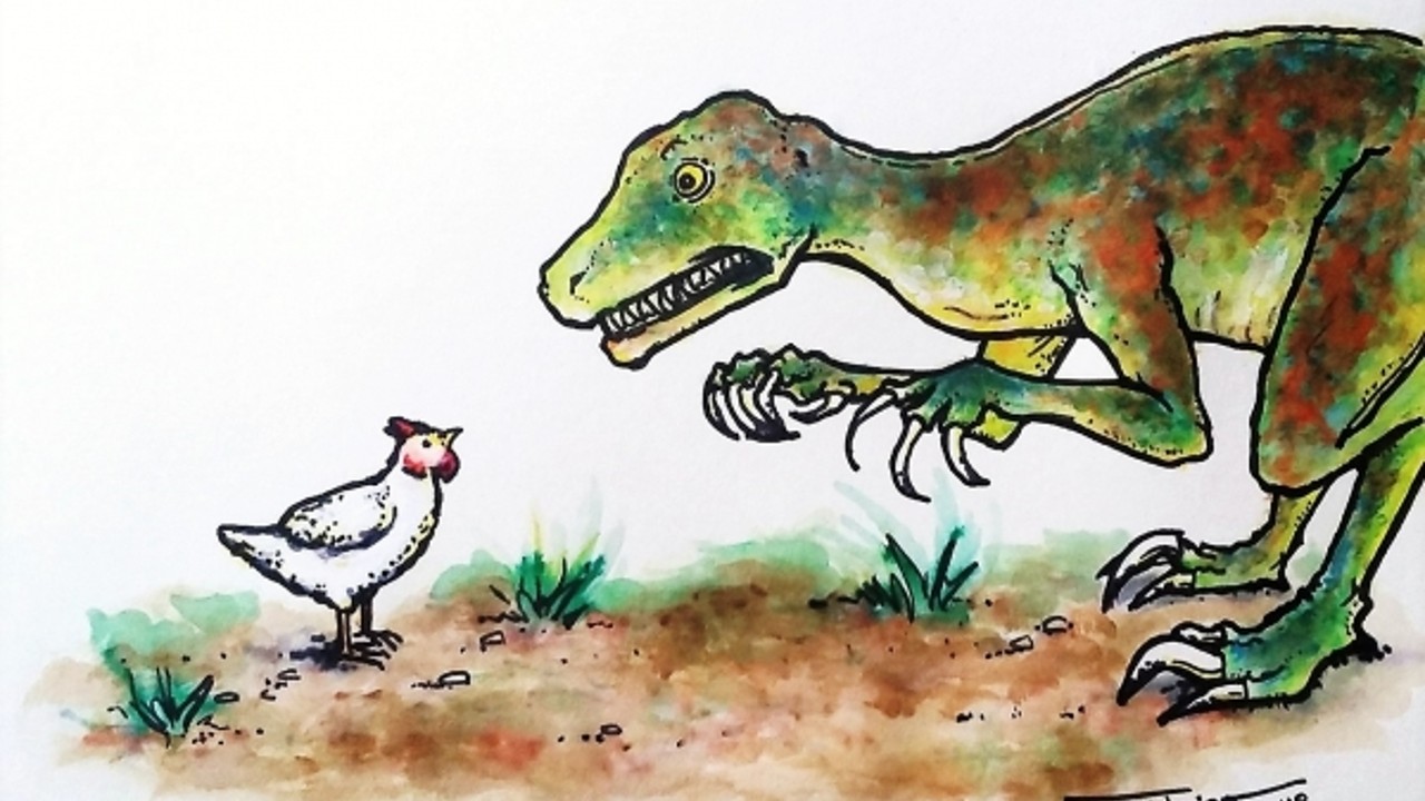 Şinasi Kaya: Madem Tavuklar Dinozorların Atası, O Zaman Dinozor Eti Yeseydik Tavuk Tadı mı Alırdık? 5