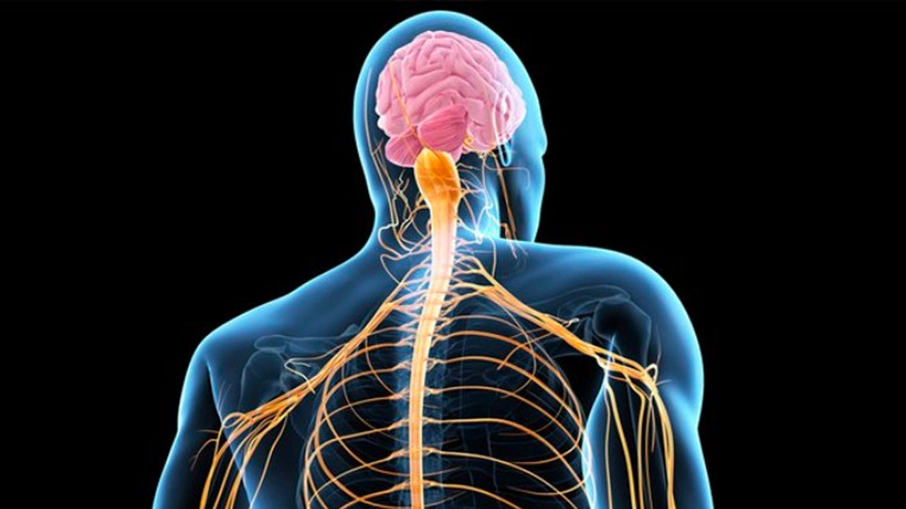 İnanç Can Çekmez: Neuralink, İnsanlı Deneyler "Beynine Çip Taktırmak İsteyen" Kişiler Aramaya Başladı 25
