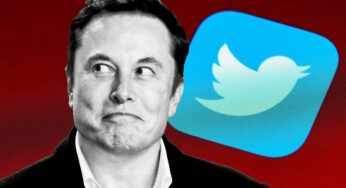 Elon Musk: Botları önlemenin tek yolu para almak!