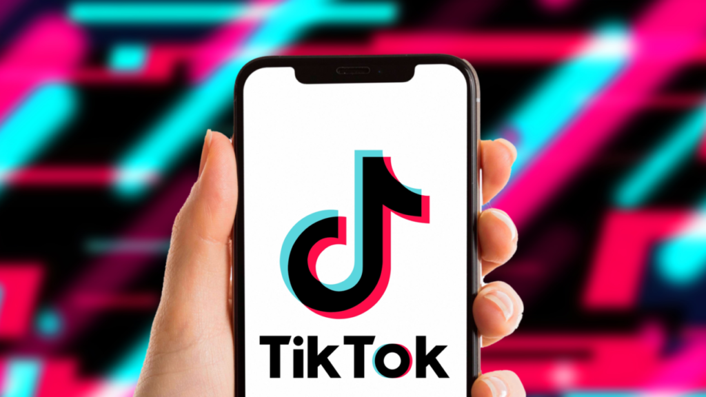 Meral Erden: TikTok'a rekor ceza! 1