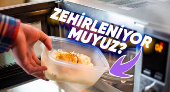 Mikrodalgaya Yiyecek Koyarken Plastik Kap Kullanıyorsanız Birazdan Okuyacaklarınız Hoşunuza Gitmeyebilir!