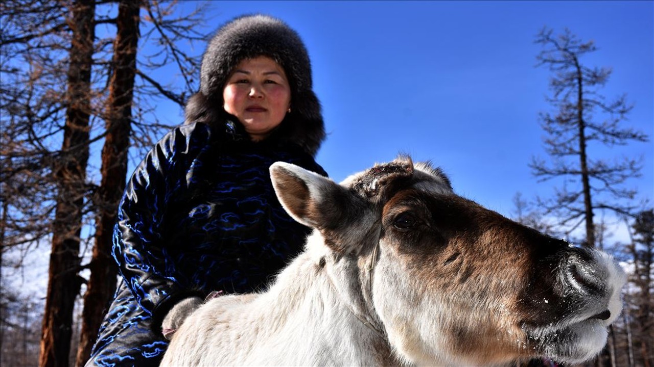 Meral Erden: Türkler Ve Moğollar, Avrupalıların Aksine İnek Sütünü Sindirmekte Neden Çok Zorluk Çekiyor? 5