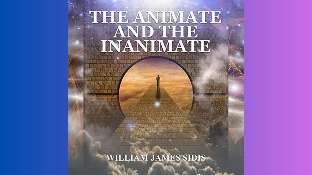 Ulaş Utku Bozdoğan: Kayıtlara Geçmiş En Zeki İnsan Olan William James Sidis'in "Bu İnsansa Ben Neyim!" Dedirten Olağanüstü Özellikleri 7