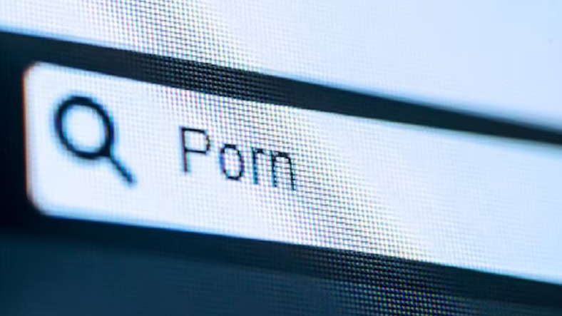 İnanç Can Çekmez: AB, Bazı Pornografik Siteleri "Platform" Olarak Kabul Etmeye Başladı: Yasa Dışı İçerikleri Silip, Kimlik Doğrulama Yapacaklar 13