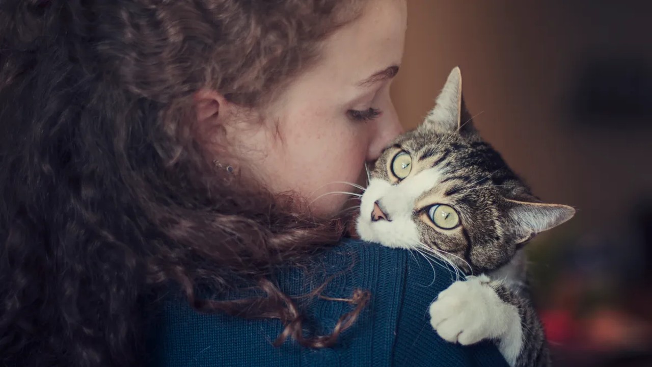Meral Erden: Kediler Gerçekten de Şizofrene Yakalanma Riskimizi İki Katına mı Çıkarıyor? 35