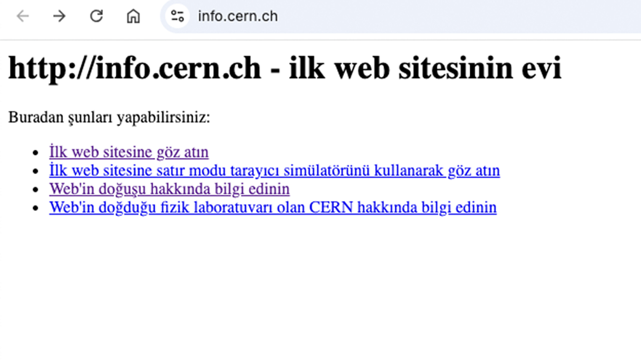 İlk Web Sitesinin Doğuşu