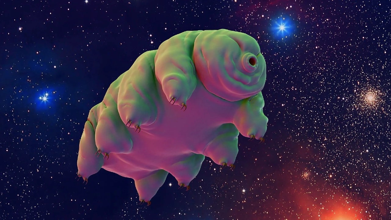 Tardigratlar: Evrendeki En Dayanıklı Canlılar