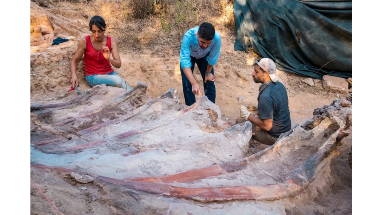 Dinozorların Gizemli Dünyası: Avrupa’nın En Büyük Dinozoru