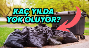 Bir Plastik Poşetin Yok Olma Süresi ve Çevresel Etkileri