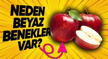 Elma Üzerindeki Küçük Noktaların Anlamı