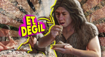 Eski Toplumların Beslenme Alışkanlıkları: %80 Bitkisel, %20 Et