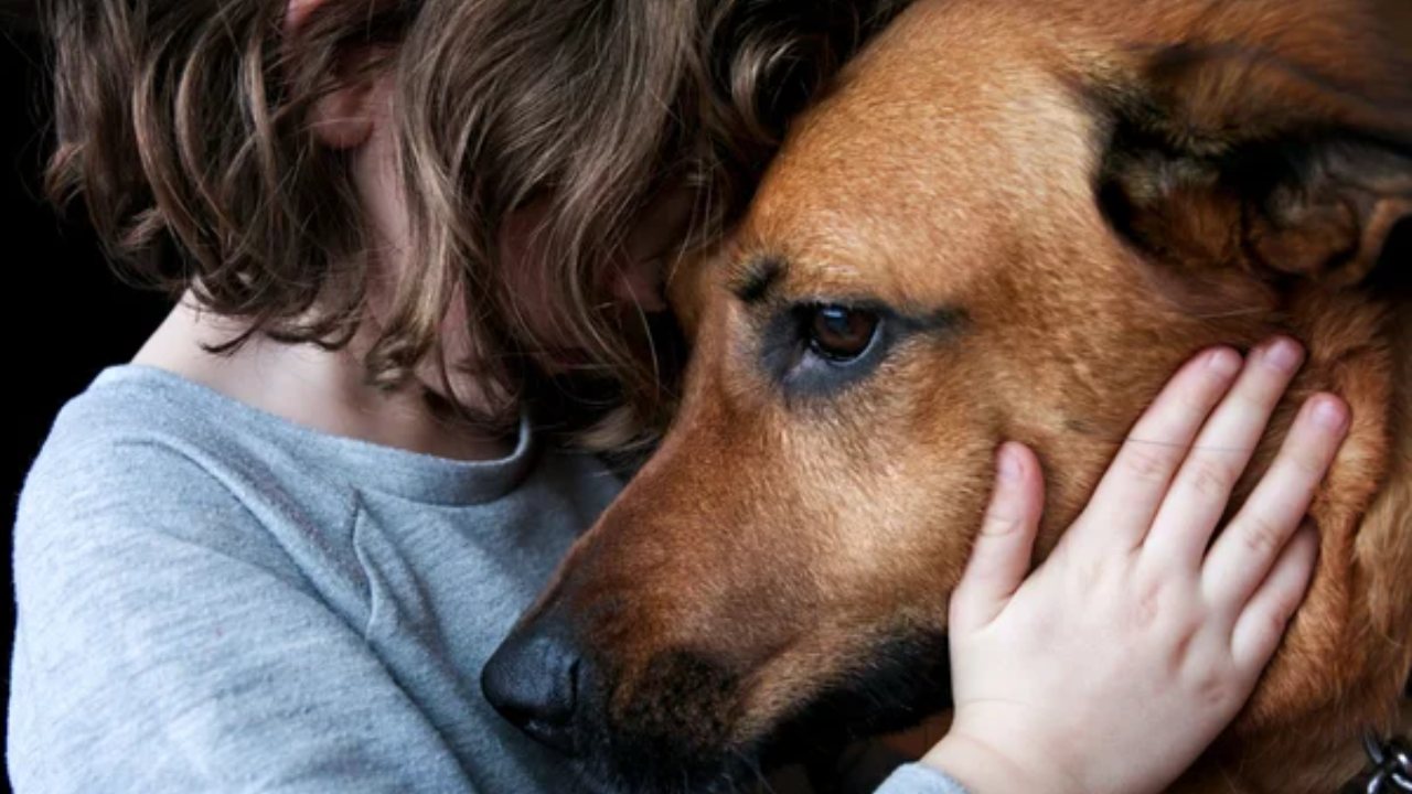 Köpeklerin Stresi Anlama Yeteneği