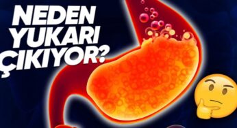 Mide Asidi ve Reflü: Nedenleri ve Yönetim Yöntemleri