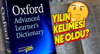 2024 Yılı Kelimesi: Brain Rot