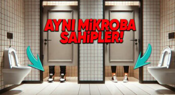 Bağırsak Mikrobiyomu ve Sosyal Etkileşimlerin Etkisi