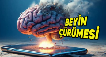 Oxford’un Yılın Kelimesi: Brain Rot