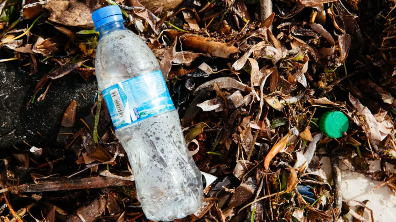 Plastik Şişeleri Tekrar Kullanmanın Sağlık Riskleri