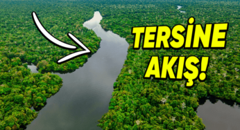 Amazon Nehri’nin Geçmişte Ters Yönde Akması: Nedenleri ve Bulgular