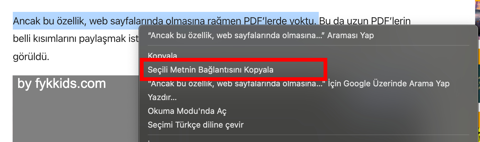 Google Chrome'a Yeni Özellik: PDF'lerde Seçili Metin için Bağlantı Oluşturma