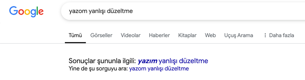 Google'ın Yazım Düzeltme Sistemi Nasıldır?