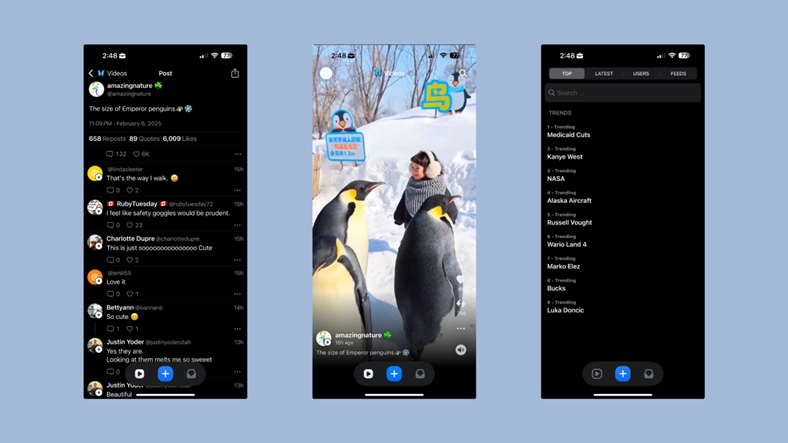 Bluesky'nin Yeni Uygulaması: Bluescreen