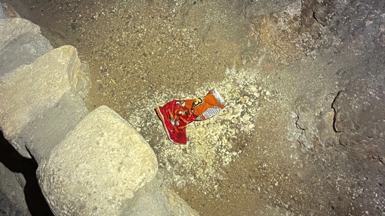 Doğada Çözünme Süreleri ve Ekosisteme Etkileri