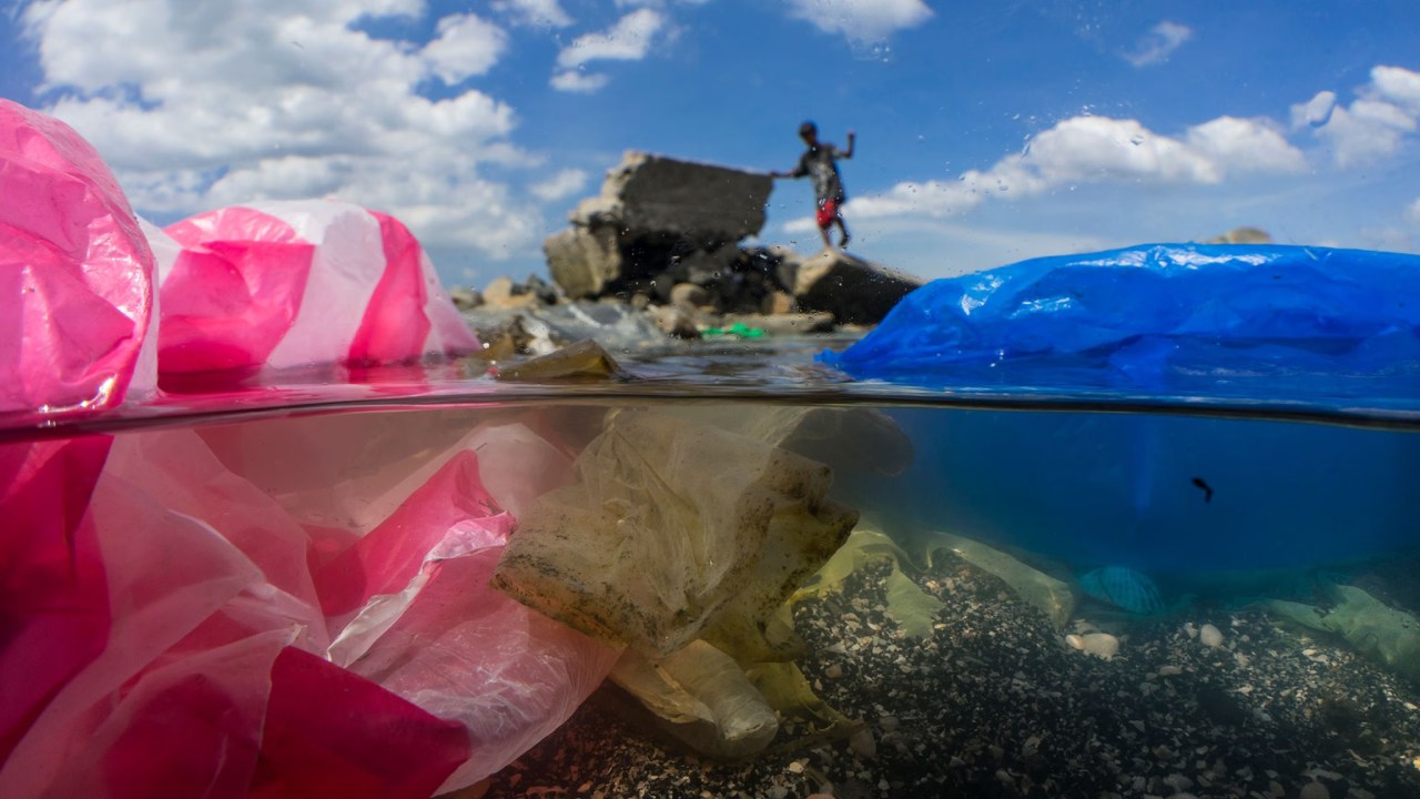 Cips Paketlerinin Ekosisteme Etkisi: Doğada Çözünme Süreleri ve Sonuçları