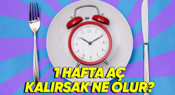 İnsan Vücudunun Açlıkla Mücadele Yeteneği