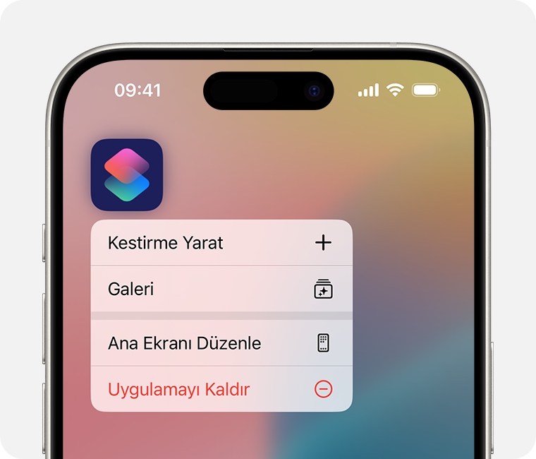 Giriş