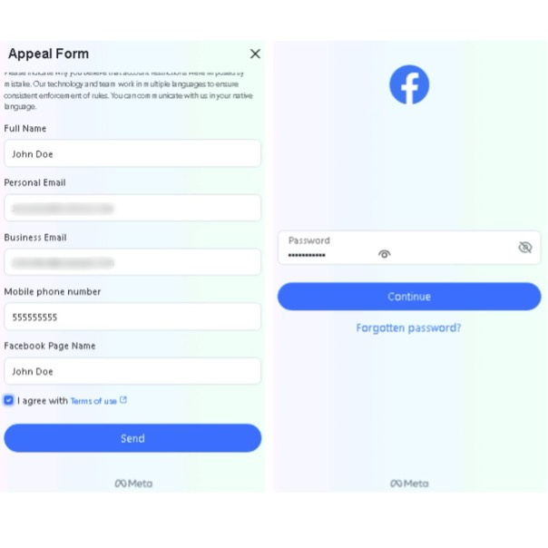 Facebook Taklidi E-Postaların Özelliği ve Amacı