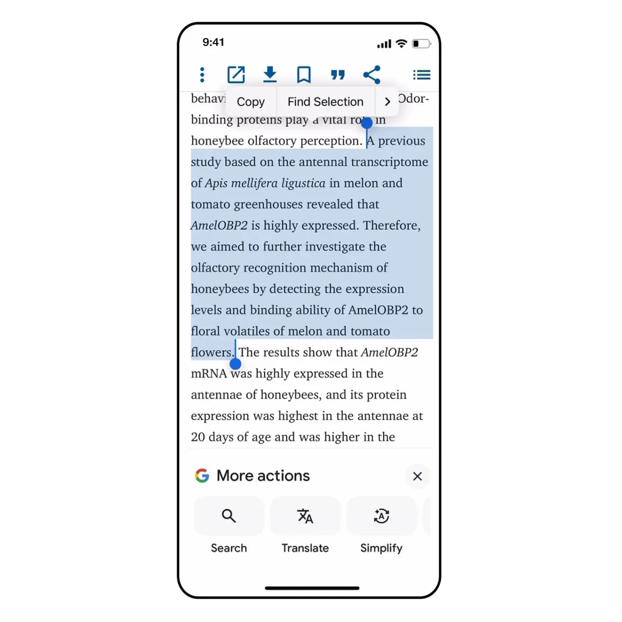 Google, iOS kullanıcıları için devrim niteliğinde bir yeniliğe imza attı: 'Basitleştir' Özelliği