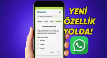 WhatsApp Android için Yeni Beta Güncellemesi ve Toplu Bildirim Yönetimi Özelliği