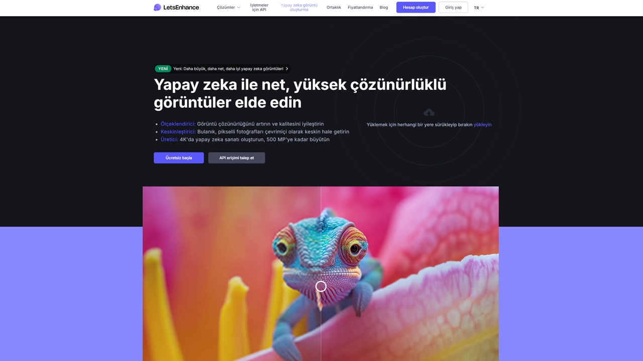 Giriş