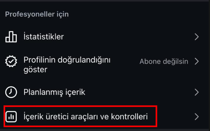2. Profesyonel Hesap Seçeneklerine Ulaşın