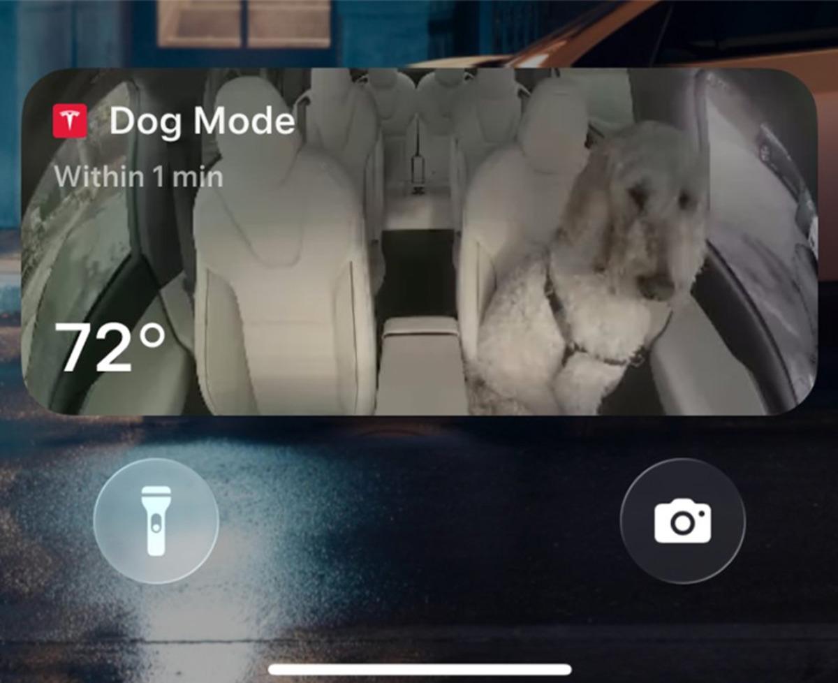 İnanç Can Çekmez: Tesla 2025 Holiday Update: Yeni Özellikler ve Olası Donanım Duyuruları 3 Tesla 2025 Holiday Update: Yeni Özellikler ve Olası Donanım Duyuruları